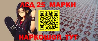 apvp Канаш