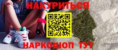 apvp Канаш