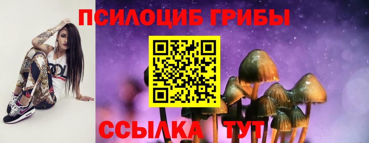 Галлюциногенные грибы мухоморы  Вход с VPN  Красногорск 
